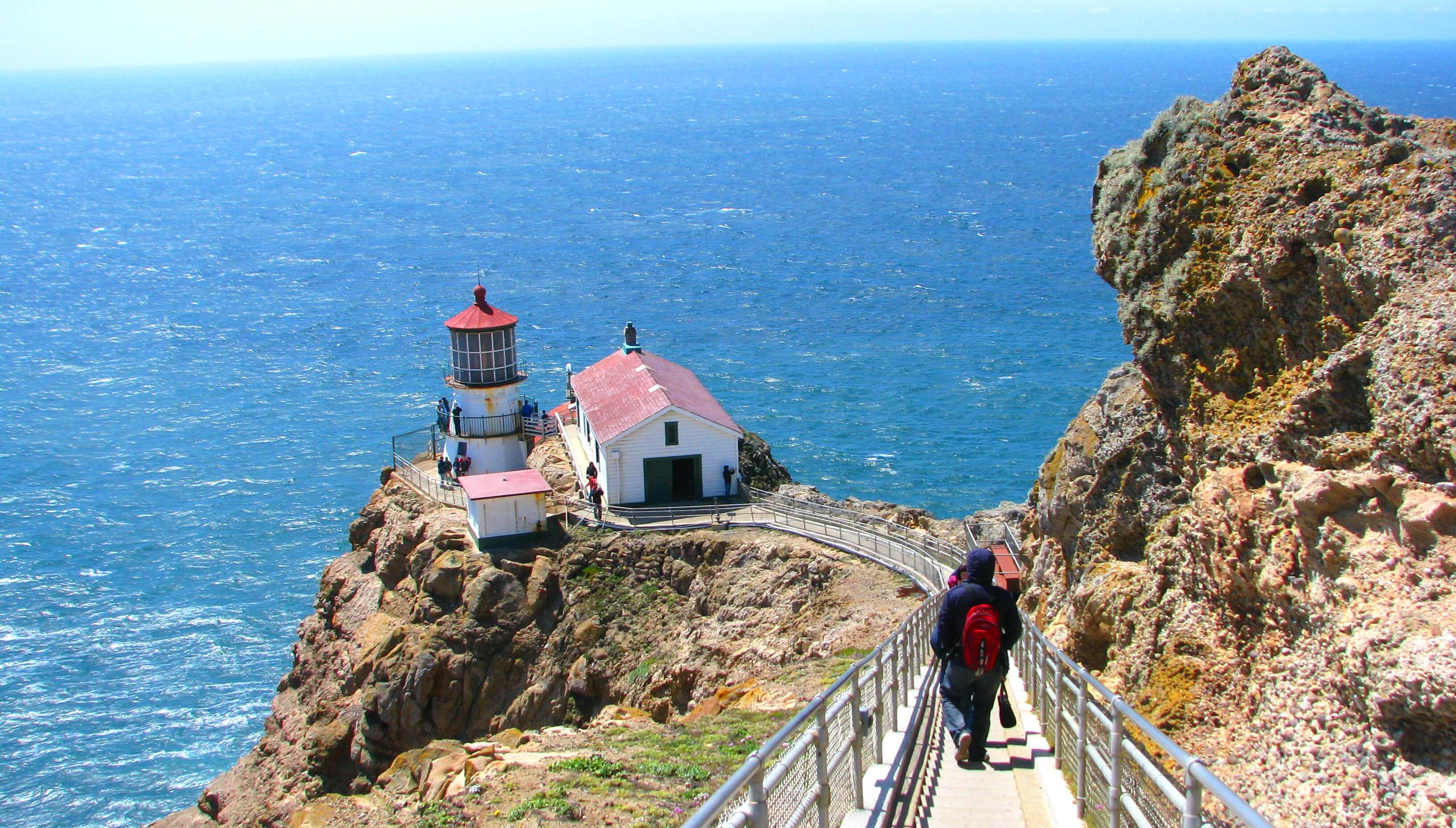 Redwoods Photos Muir Woods  (11).jpg